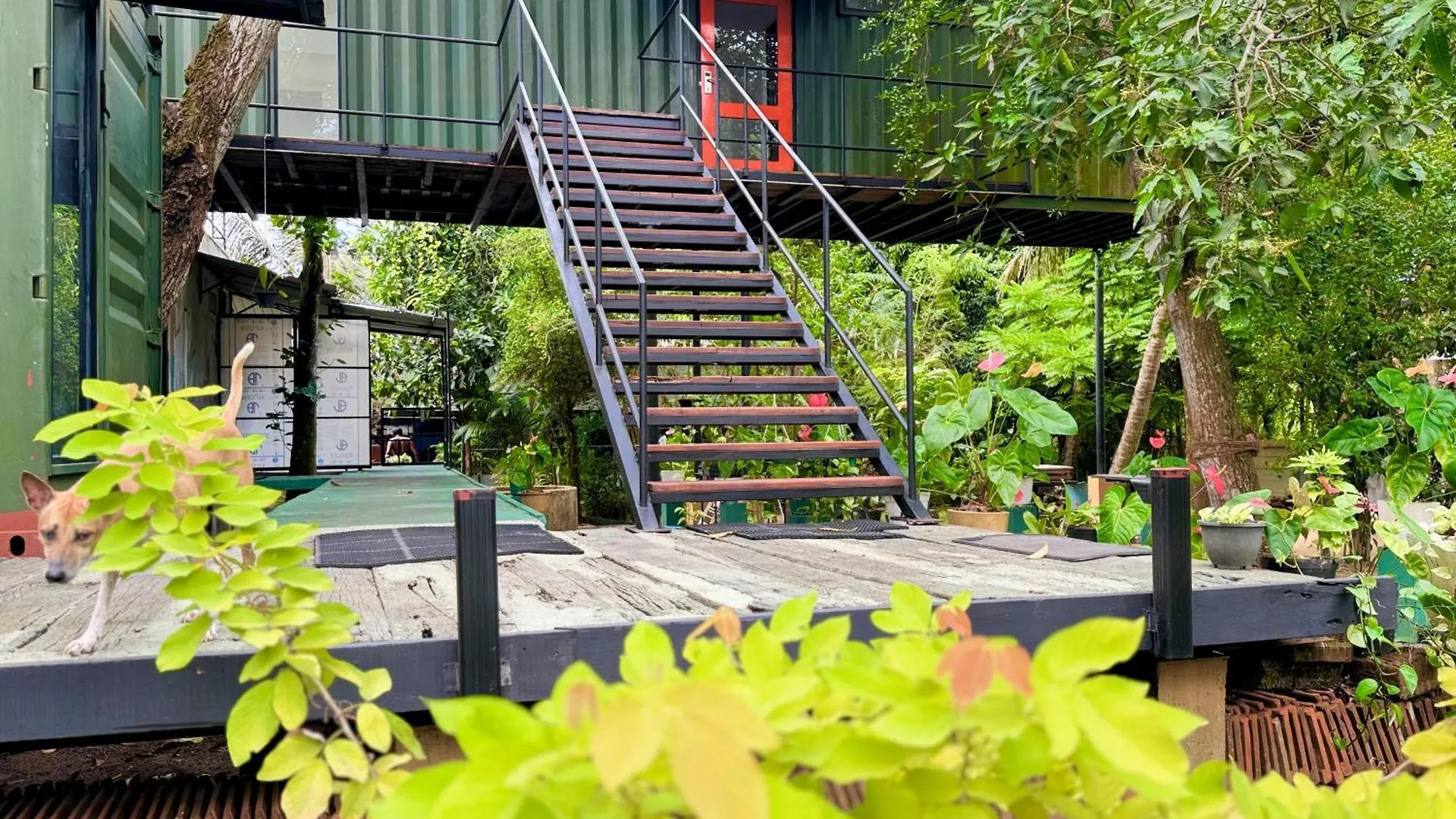 Traveler'S Haven Hostel At Colombo Intl Airport Katunayaka 0*,  Sri Lanka