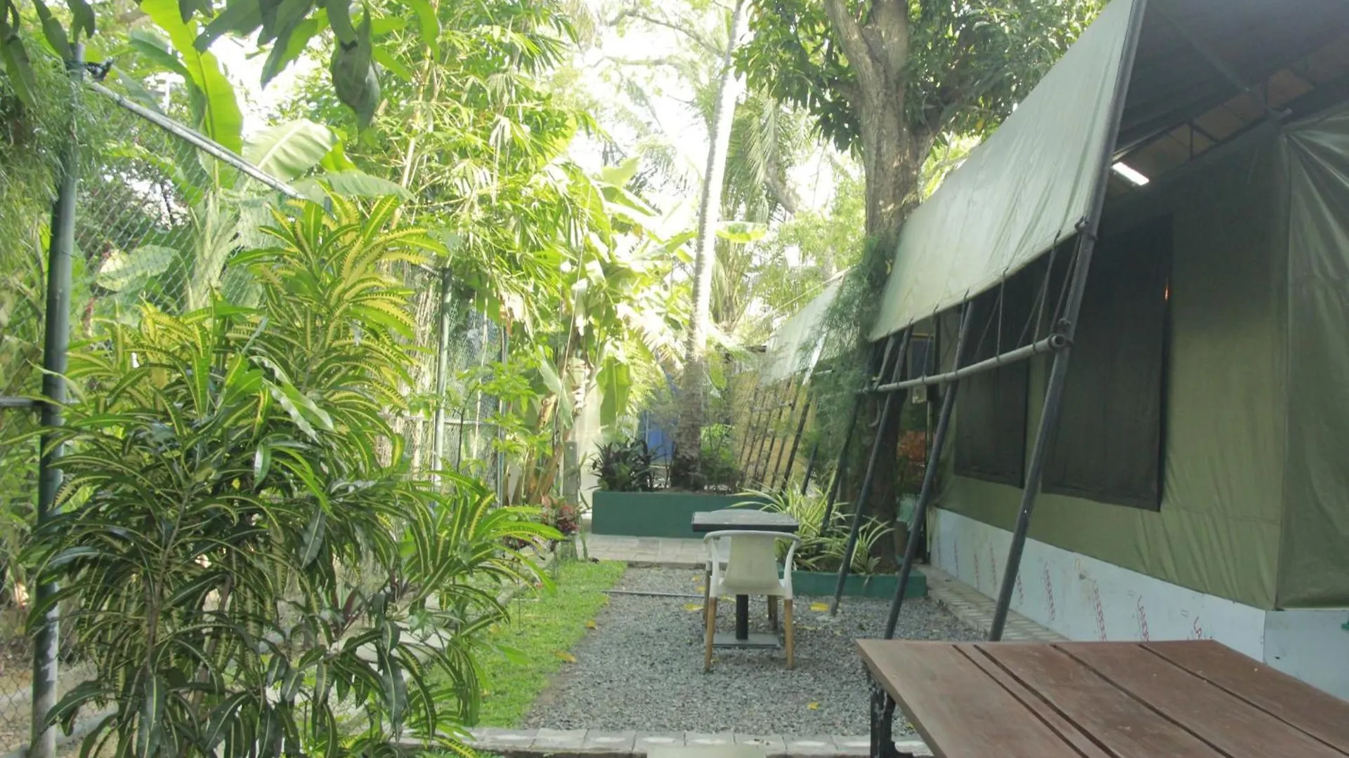Traveler'S Haven Hostel At Colombo Intl Airport Katunayaka