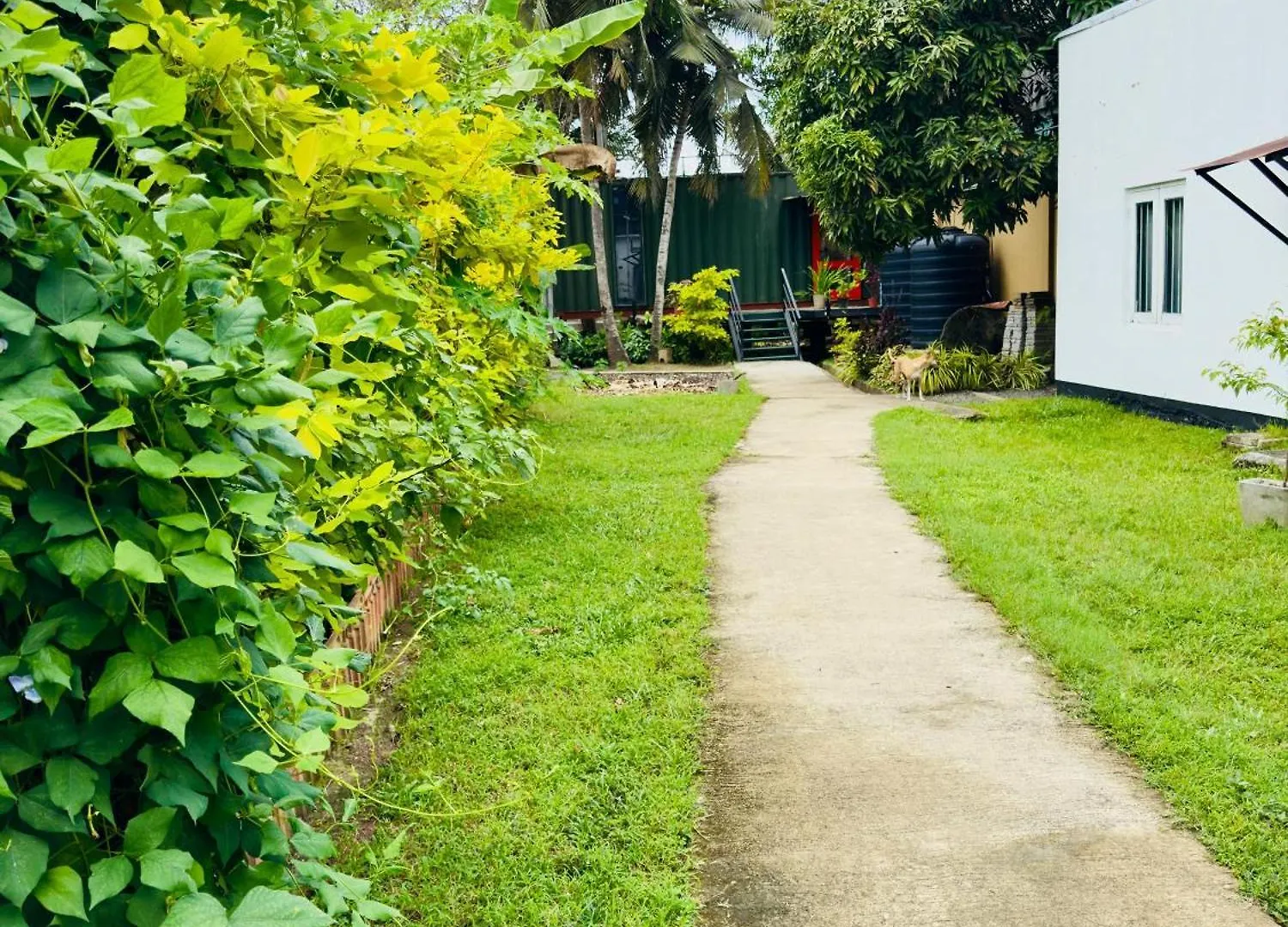 Traveler'S Haven Hostel At Colombo Intl Airport Katunayaka